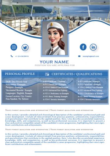 Stewardess CV