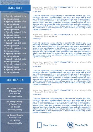 Stewardess CV